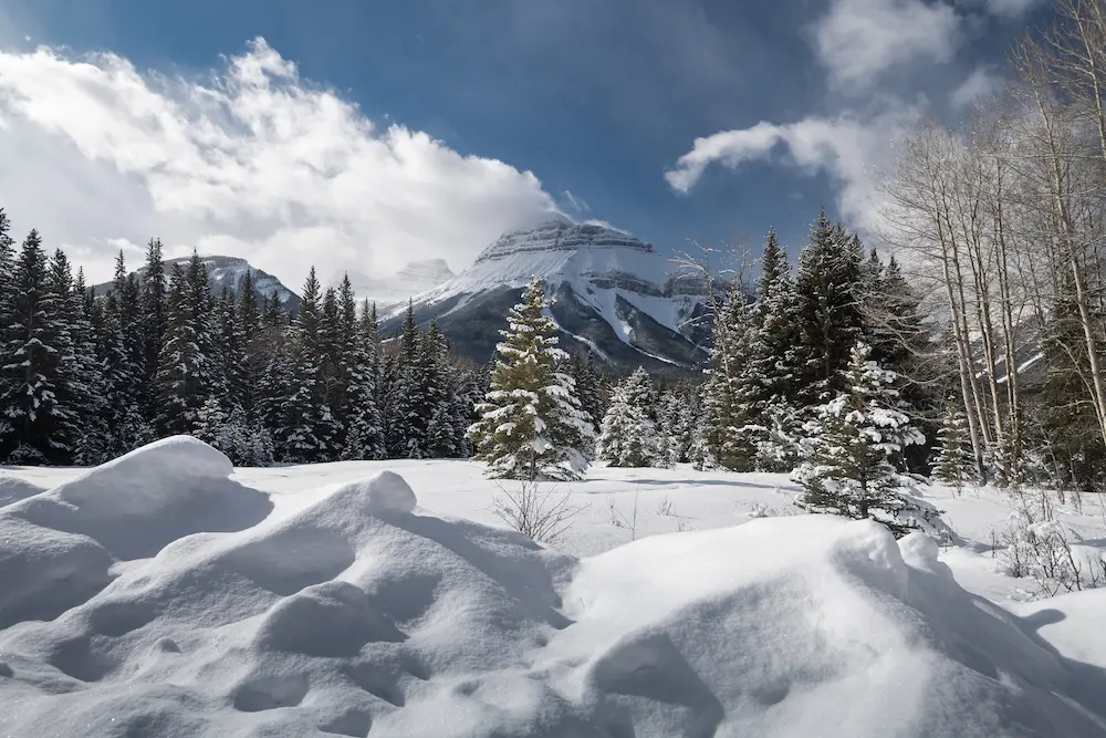 Tips For RVing at Provincial & National Parks